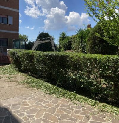 image00013-scaled-570x650